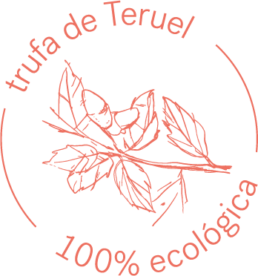 trufa negra fresca y ecológica