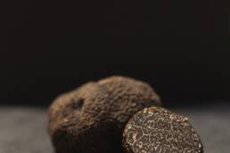 Trufam trufas negras
