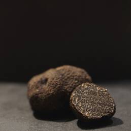 Trufam trufas negras